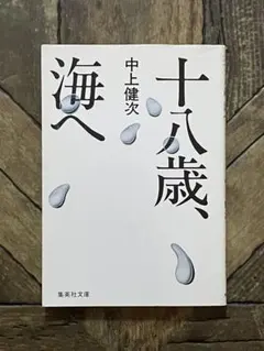 十八歳、海へ　中上健次