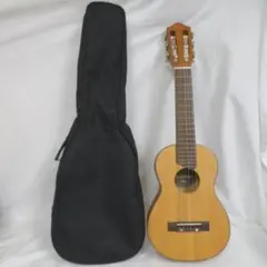 Item thumbnail for item 6ec86094-978a-4e84-bb50-74223708010b