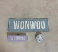 ウォヌ ワッペン　ピンバッジ