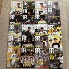 Item thumbnail for item beac7636-caa9-482e-866a-dca902f7b927