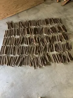 Item thumbnail for item 17fbe676-55cc-4c62-8f0e-7dcd5cb8762d