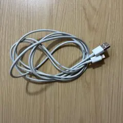 Lightningケーブル USB 充電ケーブル 2M