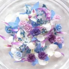 押し花 NO.392 千鳥草 - メルカリ