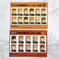 ハイキュー!! ゴミ捨て場の決戦 入場特典 選手名鑑風ブロマイドセット