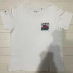 Item thumbnail for item 97c5efc8-ed34-4e39-8068-5b449c1411f1