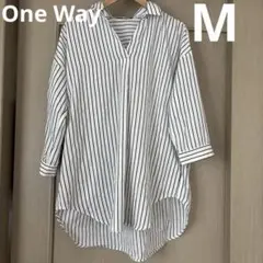 Item thumbnail for item c9968264-6f16-4648-8ec3-db67151b9873