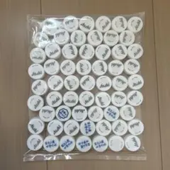 ペットボトル　キャップ　60個　白　ホワイト　Ｂ