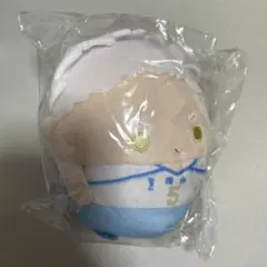 ハイキュー!! くじメイト ぬいくじ D賞 ふわコロりん 星海光来