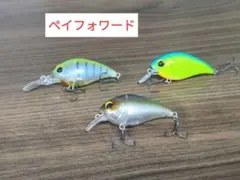 クランクベイト 6個セット イヴォーク ブリッツ ショットオーバー等
