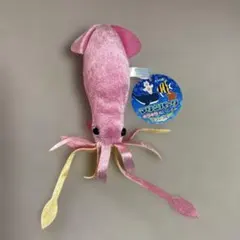 マリンパーク　キラキラぬいぐるみ　グランブルー　イカ