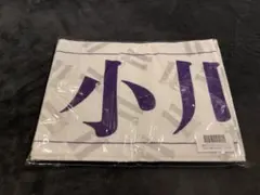 Item thumbnail for item b8021f76-a8b9-4e89-a56e-f0b24631f616