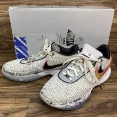 NIKE LEBRON XX EP /ナイキ レブロン20 29cm - メルカリ