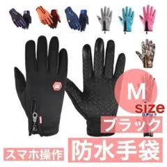 Item thumbnail for item dc42fde9-9040-4f4e-9513-bca479157acd