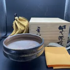 Item thumbnail for item 2a973051-4d57-41d0-84ae-5c61eae7f340