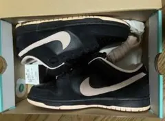 Nike SB Dunk Low PRO Black/Washed Coral