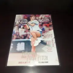 Item thumbnail for item 75ba4b0d-d975-4aaf-8058-f74265f6f28c