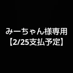 みーちゃん様専用