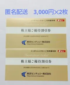 ニッポンレンタカーご優待割引券　3,000円✕２枚