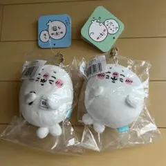 Item thumbnail for item 39b57c6c-4c94-47f6-a0e1-6569666df350