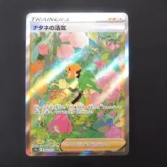 2025年最新】ナタネの活気 sarの人気アイテム - メルカリ