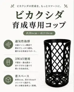 かずかず様専用 ビカクシダ 育成専用コップ 3個 - メルカリ