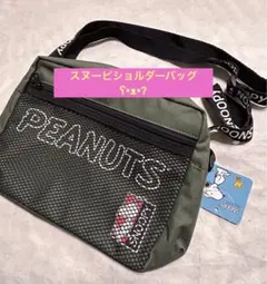 ☆未使用☆ スヌーピショルダーバッグ( ◠‿◠ )