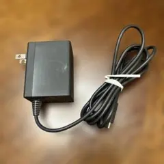 Nintendo Switch USB Type-C 充電器