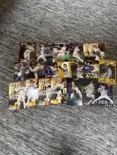 プロ野球チップス 阪神 井川慶 サインカード2枚セット - メルカリ