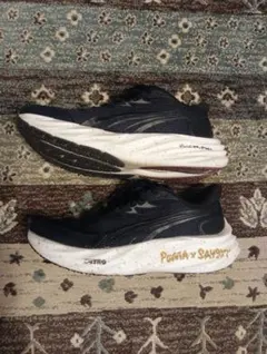 Item thumbnail for item 58fa91a2-f6af-41c5-9ef3-443fa67b9f61