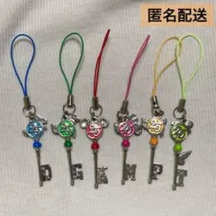 東京ディズニーリゾートTDL 25周年記念 ドリームキー ストラップセット