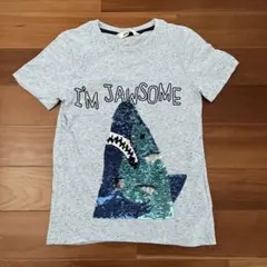 Item thumbnail for item f51deb91-16ae-4503-9edb-513b24872231