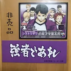 特典 しおり カード 白鳥沢 学園 ハイキュー ショーセツバン 小説 文庫