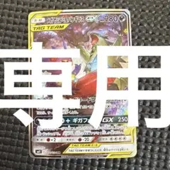 あひる。様専用出品のサムネイル