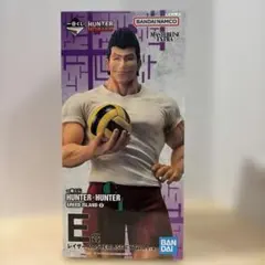 一番くじ　ハンターハンター　E賞　レイザー　MASTERLISE EXTRA