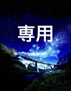 【リリや様専用】