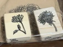 Item thumbnail for item 129936b1-3254-4aa1-92a0-2bf432a8f385