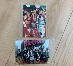 AKB48 渡辺麻友 柏木由紀 TSUTAYA 特典 生写真 - メルカリ