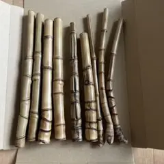 布袋竹ーー17