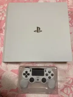 PS4セット