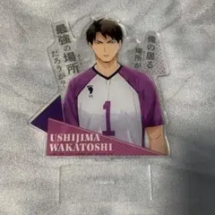 ハイキュー 一番くじ L賞 牛島若利 BIGアクリルスタンド