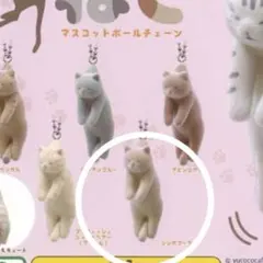 2026年最新】つまんだねこの人気アイテム - メルカリ