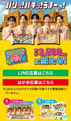 チョコモナカジャンボ懸賞はがき【15枚】のサムネイル