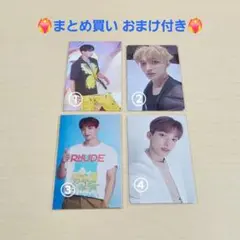 seventeen セブチ ドギョム 会場限定 トレカ