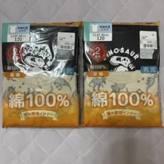 男児 半袖丸首シャツ 120cm 2枚組 恐竜柄 綿100% 厚地　新品未使用品