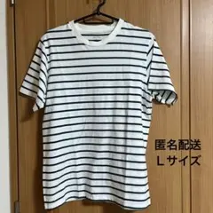 ストライプ Tシャツ　Ｌサイズ