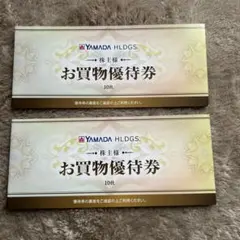 ヤマダ電機　株主優待券　10,000円