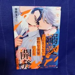 溺愛が止まらない寡黙な後輩による開発計略