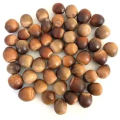 Item thumbnail for item c5a0527d-92a1-4bed-97ef-5d9ab4cff25a