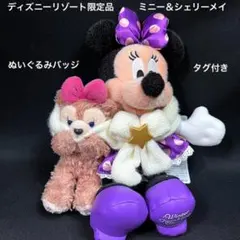 ディズニーリゾート限定品／ミニー＆シェリーメイ ぬいぐるみバッジ／新品タグ付き