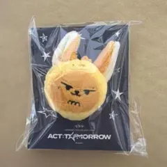 ファンチュン アイドル